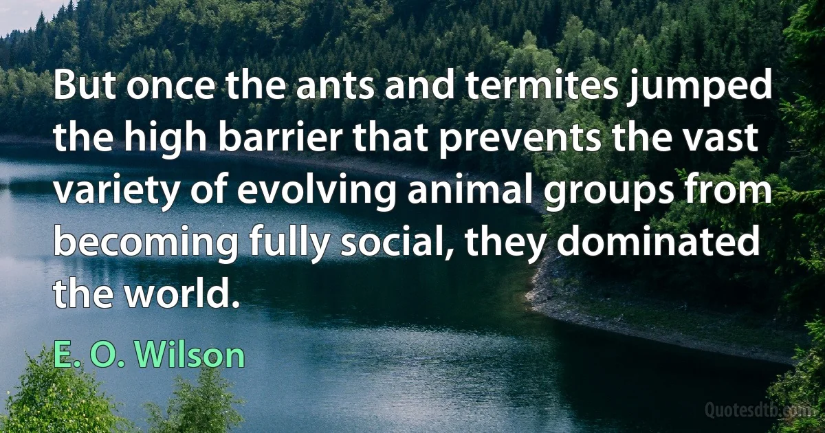 But once the ants and termites jumped the high barrier that prevents the vast variety of evolving animal groups from becoming fully social, they dominated the world. (E. O. Wilson)