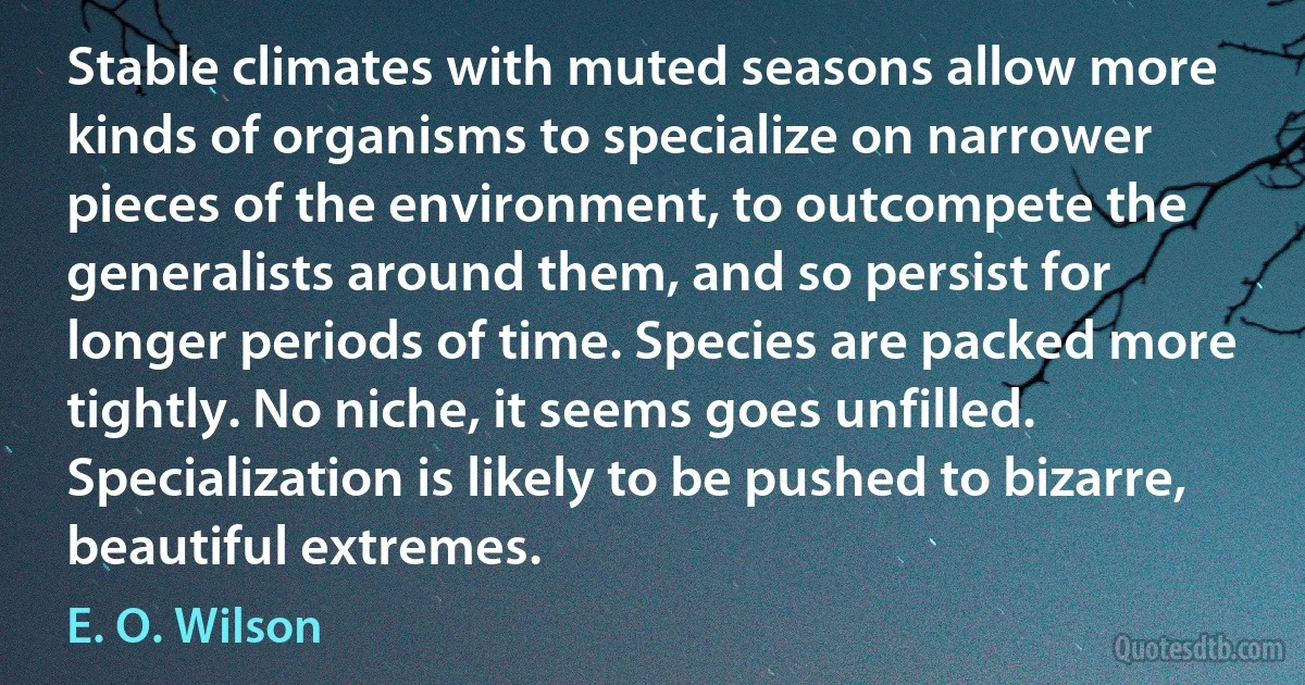 Stable climates with muted seasons allow more kinds of organisms to specialize on narrower pieces of the environment, to outcompete the generalists around them, and so persist for longer periods of time. Species are packed more tightly. No niche, it seems goes unfilled. Specialization is likely to be pushed to bizarre, beautiful extremes. (E. O. Wilson)