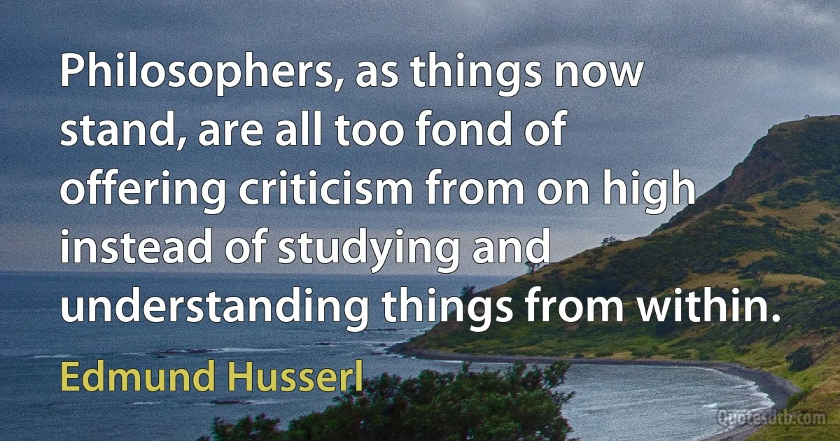 Philosophers, as things now stand, are all too fond of offering criticism from on high instead of studying and understanding things from within. (Edmund Husserl)