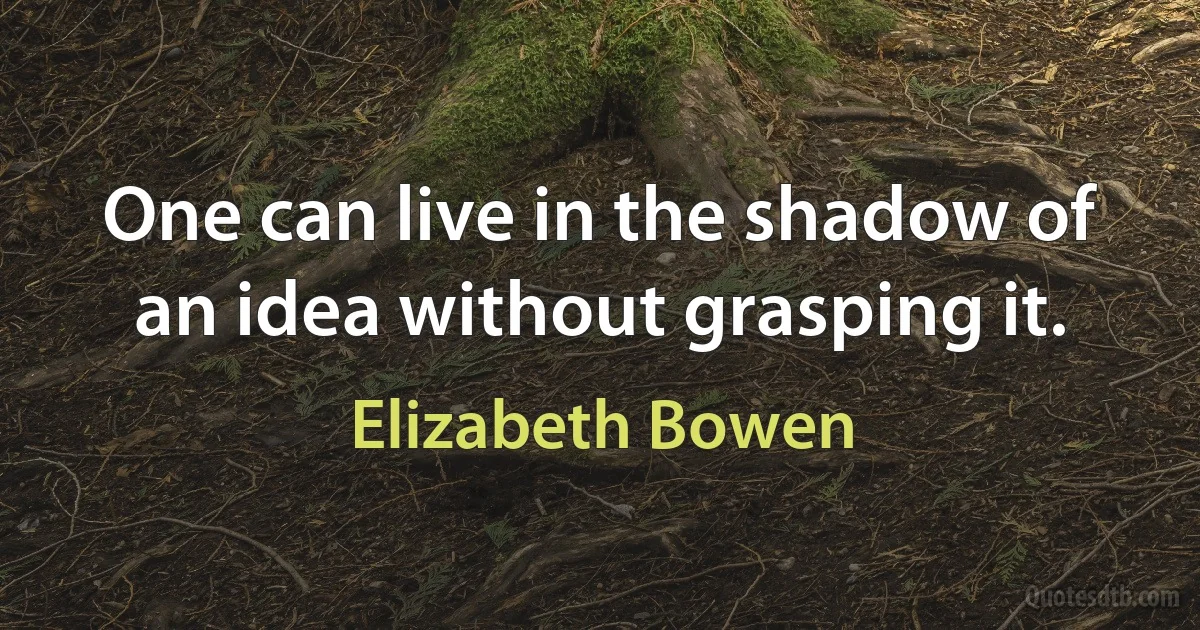 One can live in the shadow of an idea without grasping it. (Elizabeth Bowen)