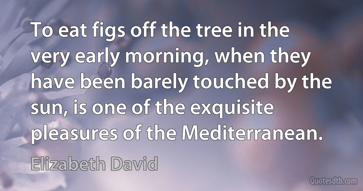 To eat figs off the tree in the very early morning, when they have been barely touched by the sun, is one of the exquisite pleasures of the Mediterranean. (Elizabeth David)