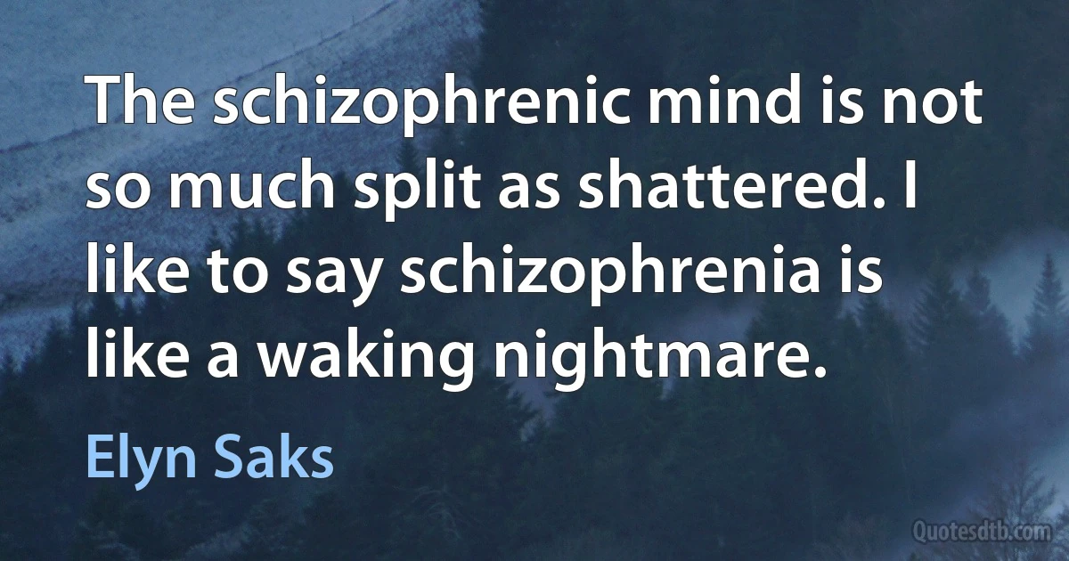 The schizophrenic mind is not so much split as shattered. I like to say schizophrenia is like a waking nightmare. (Elyn Saks)