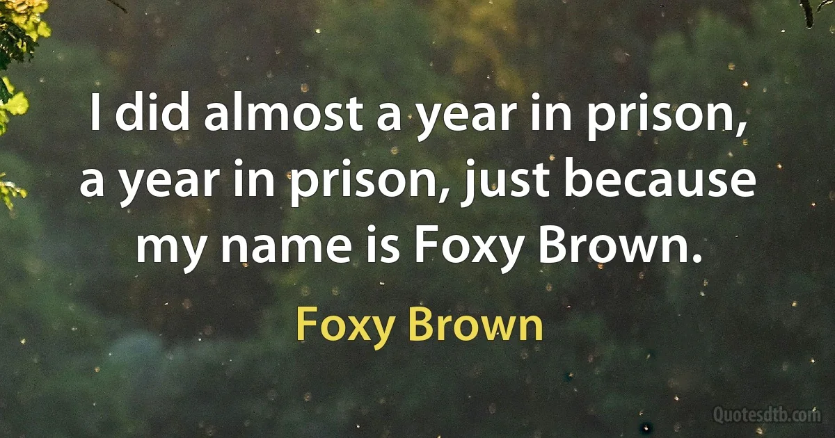 I did almost a year in prison, a year in prison, just because my name is Foxy Brown. (Foxy Brown)