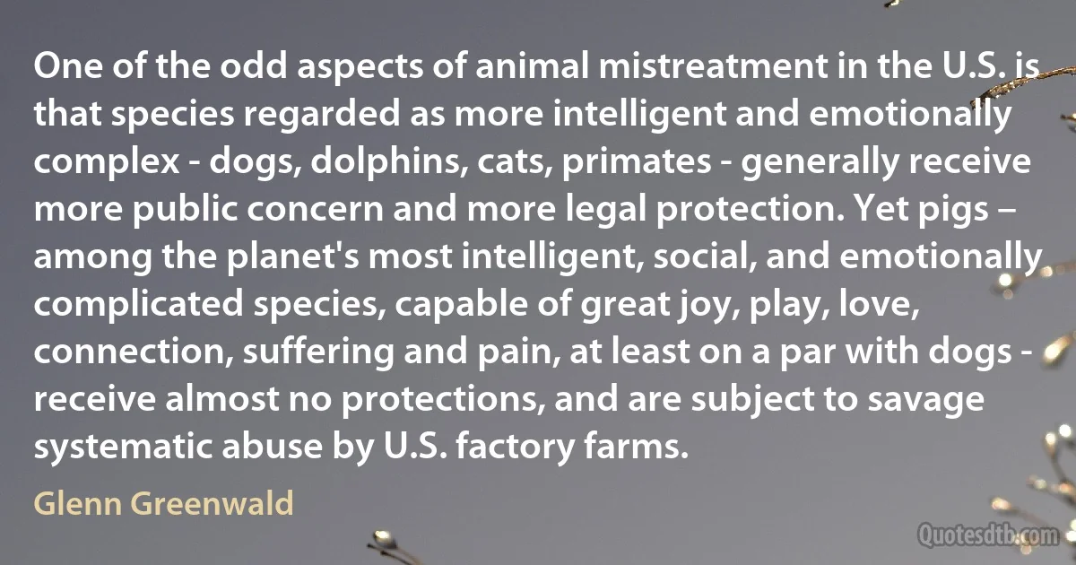 One of the odd aspects of animal mistreatment in the U.S. is that species regarded as more intelligent and emotionally complex - dogs, dolphins, cats, primates - generally receive more public concern and more legal protection. Yet pigs – among the planet's most intelligent, social, and emotionally complicated species, capable of great joy, play, love, connection, suffering and pain, at least on a par with dogs - receive almost no protections, and are subject to savage systematic abuse by U.S. factory farms. (Glenn Greenwald)