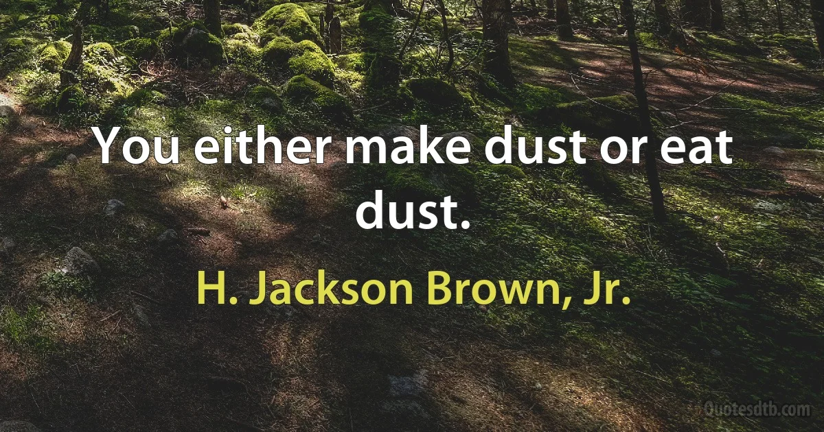 You either make dust or eat dust. (H. Jackson Brown, Jr.)