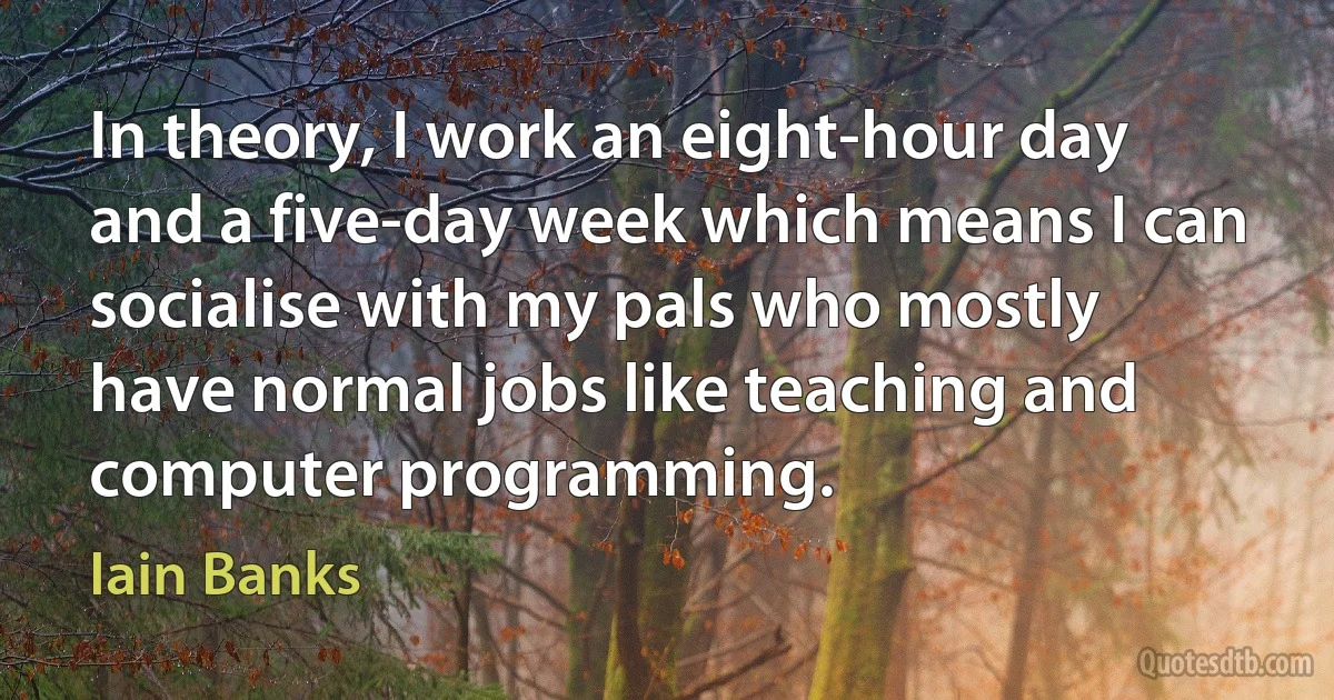 In theory, I work an eight-hour day and a five-day week which means I can socialise with my pals who mostly have normal jobs like teaching and computer programming. (Iain Banks)