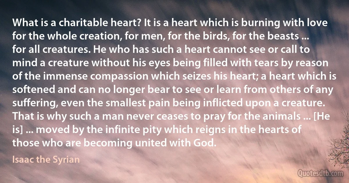 What is a charitable heart? It is a heart which is burning with love for the whole creation, for men, for the birds, for the beasts ... for all creatures. He who has such a heart cannot see or call to mind a creature without his eyes being filled with tears by reason of the immense compassion which seizes his heart; a heart which is softened and can no longer bear to see or learn from others of any suffering, even the smallest pain being inflicted upon a creature. That is why such a man never ceases to pray for the animals ... [He is] ... moved by the infinite pity which reigns in the hearts of those who are becoming united with God. (Isaac the Syrian)