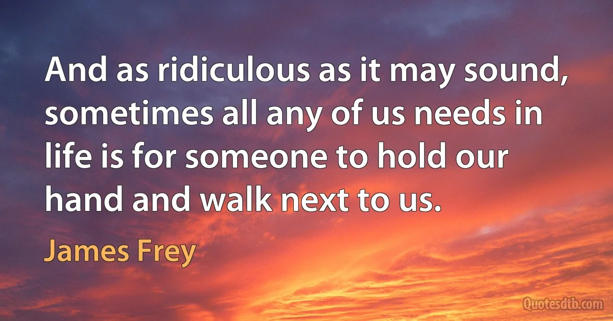 And as ridiculous as it may sound, sometimes all any of us needs in life is for someone to hold our hand and walk next to us. (James Frey)