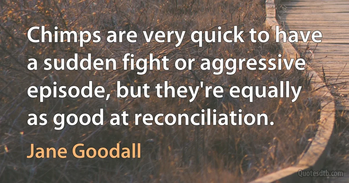 Chimps are very quick to have a sudden fight or aggressive episode, but they're equally as good at reconciliation. (Jane Goodall)