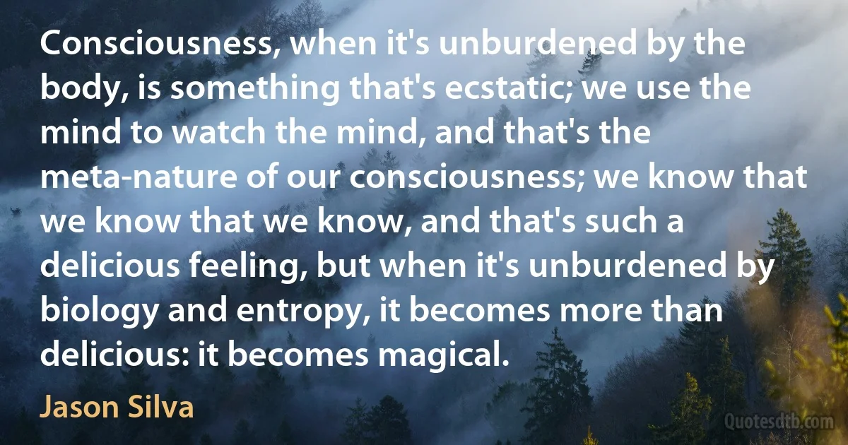 Consciousness, when it's unburdened by the body, is something that's ecstatic; we use the mind to watch the mind, and that's the meta-nature of our consciousness; we know that we know that we know, and that's such a delicious feeling, but when it's unburdened by biology and entropy, it becomes more than delicious: it becomes magical. (Jason Silva)