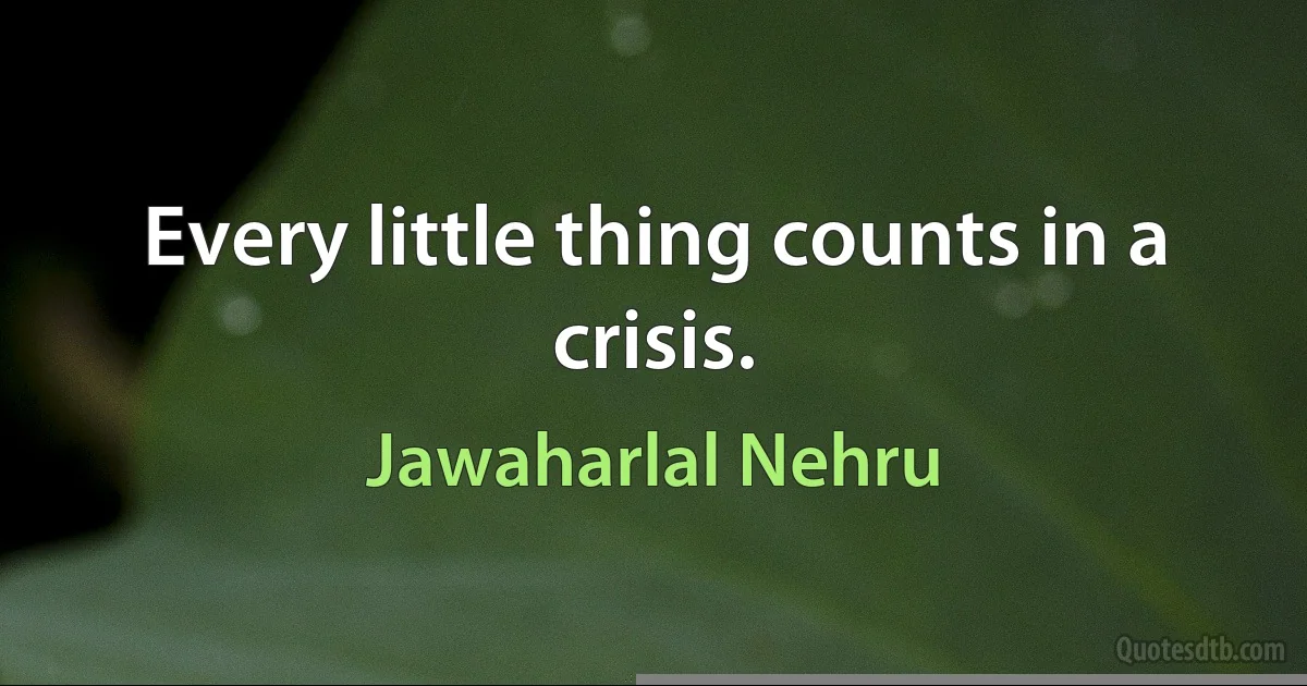 Every little thing counts in a crisis. (Jawaharlal Nehru)