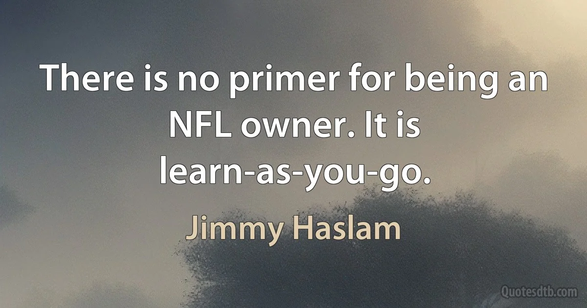 There is no primer for being an NFL owner. It is learn-as-you-go. (Jimmy Haslam)