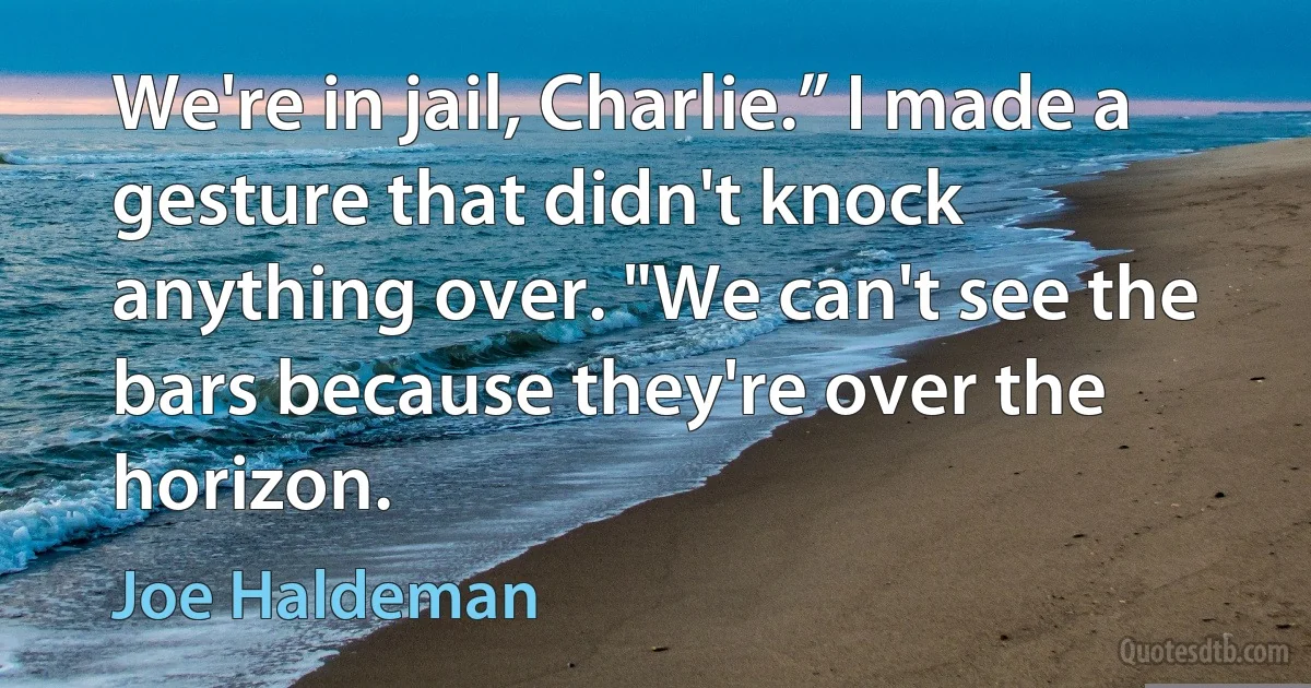 We're in jail, Charlie.” I made a gesture that didn't knock anything over. "We can't see the bars because they're over the horizon. (Joe Haldeman)