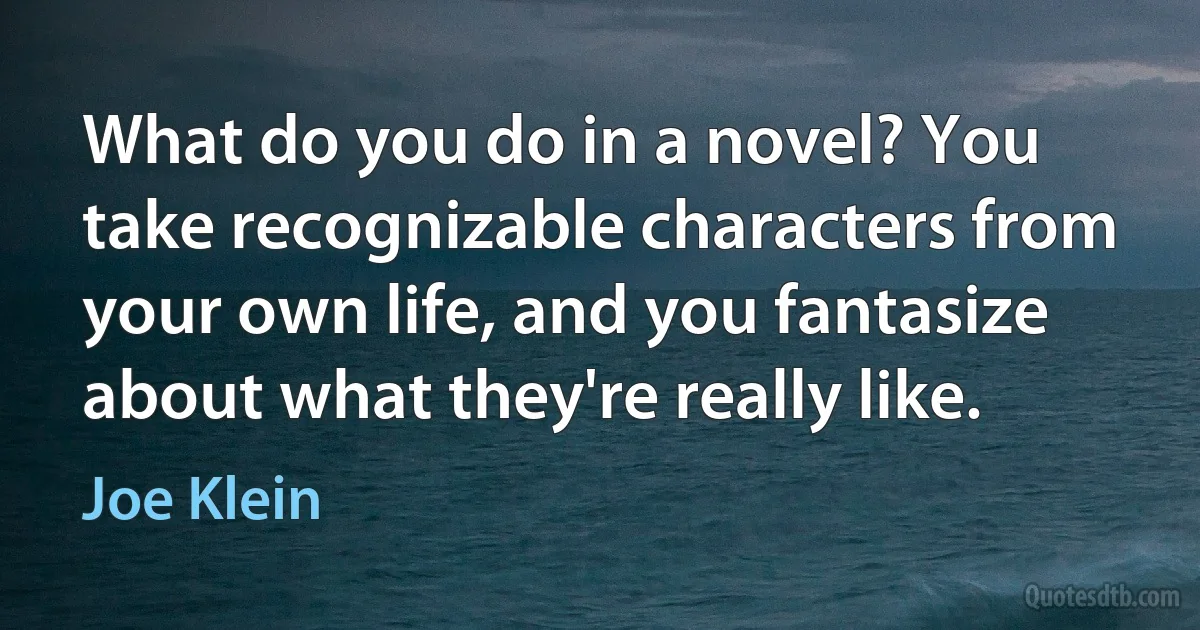 What do you do in a novel? You take recognizable characters from your own life, and you fantasize about what they're really like. (Joe Klein)