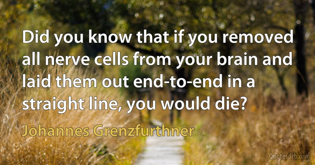 Did you know that if you removed all nerve cells from your brain and laid them out end-to-end in a straight line, you would die? (Johannes Grenzfurthner)