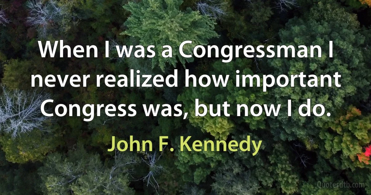 When I was a Congressman I never realized how important Congress was, but now I do. (John F. Kennedy)