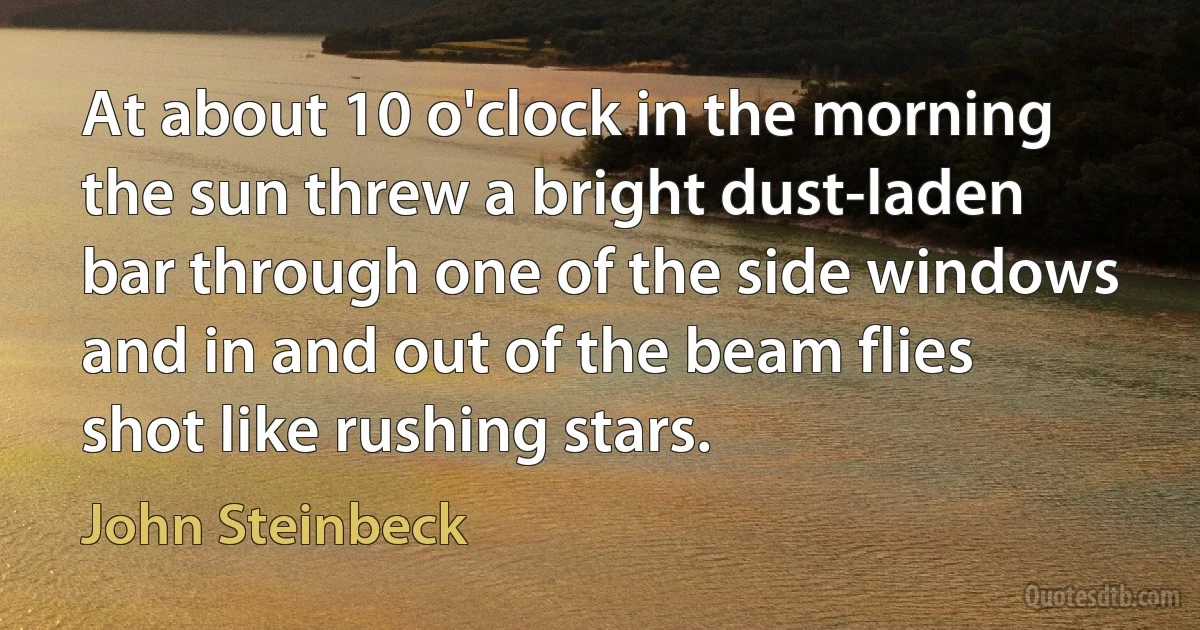 At about 10 o'clock in the morning the sun threw a bright dust-laden bar through one of the side windows and in and out of the beam flies shot like rushing stars. (John Steinbeck)