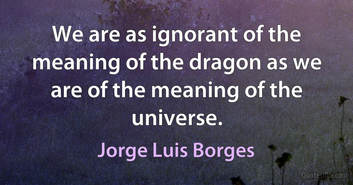 We are as ignorant of the meaning of the dragon as we are of the meaning of the universe. (Jorge Luis Borges)