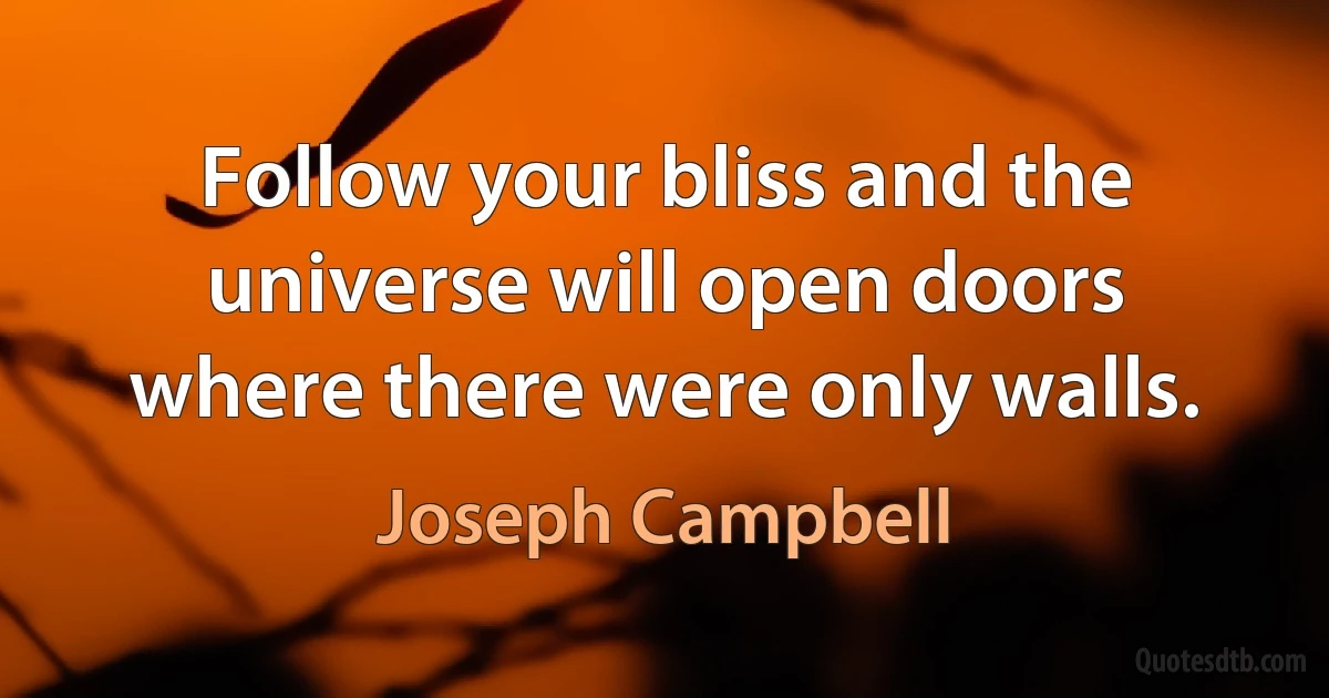 Follow your bliss and the universe will open doors where there were only walls. (Joseph Campbell)