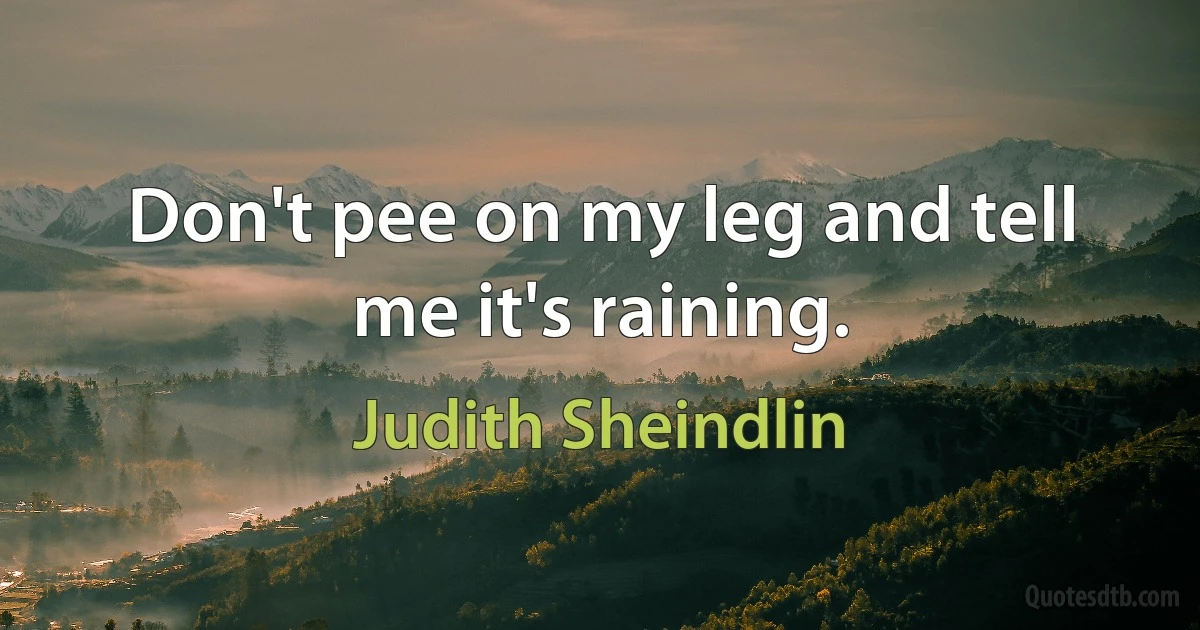 Don't pee on my leg and tell me it's raining. (Judith Sheindlin)