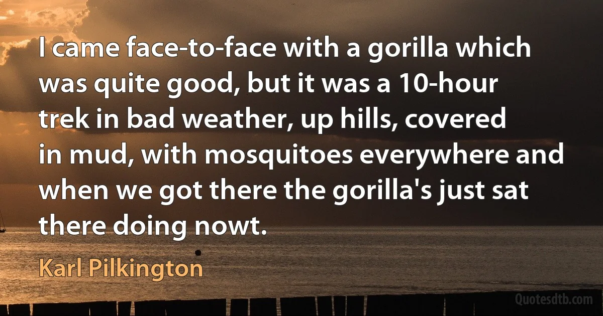 I came face-to-face with a gorilla which was quite good, but it was a 10-hour trek in bad weather, up hills, covered in mud, with mosquitoes everywhere and when we got there the gorilla's just sat there doing nowt. (Karl Pilkington)