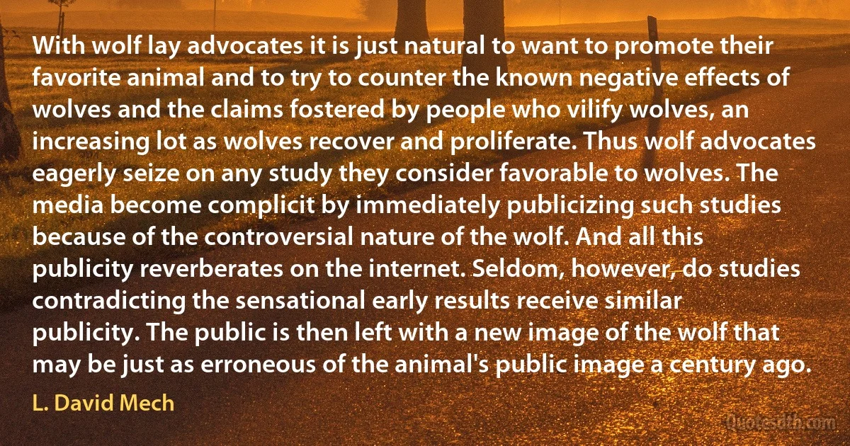 With wolf lay advocates it is just natural to want to promote their favorite animal and to try to counter the known negative effects of wolves and the claims fostered by people who vilify wolves, an increasing lot as wolves recover and proliferate. Thus wolf advocates eagerly seize on any study they consider favorable to wolves. The media become complicit by immediately publicizing such studies because of the controversial nature of the wolf. And all this publicity reverberates on the internet. Seldom, however, do studies contradicting the sensational early results receive similar publicity. The public is then left with a new image of the wolf that may be just as erroneous of the animal's public image a century ago. (L. David Mech)