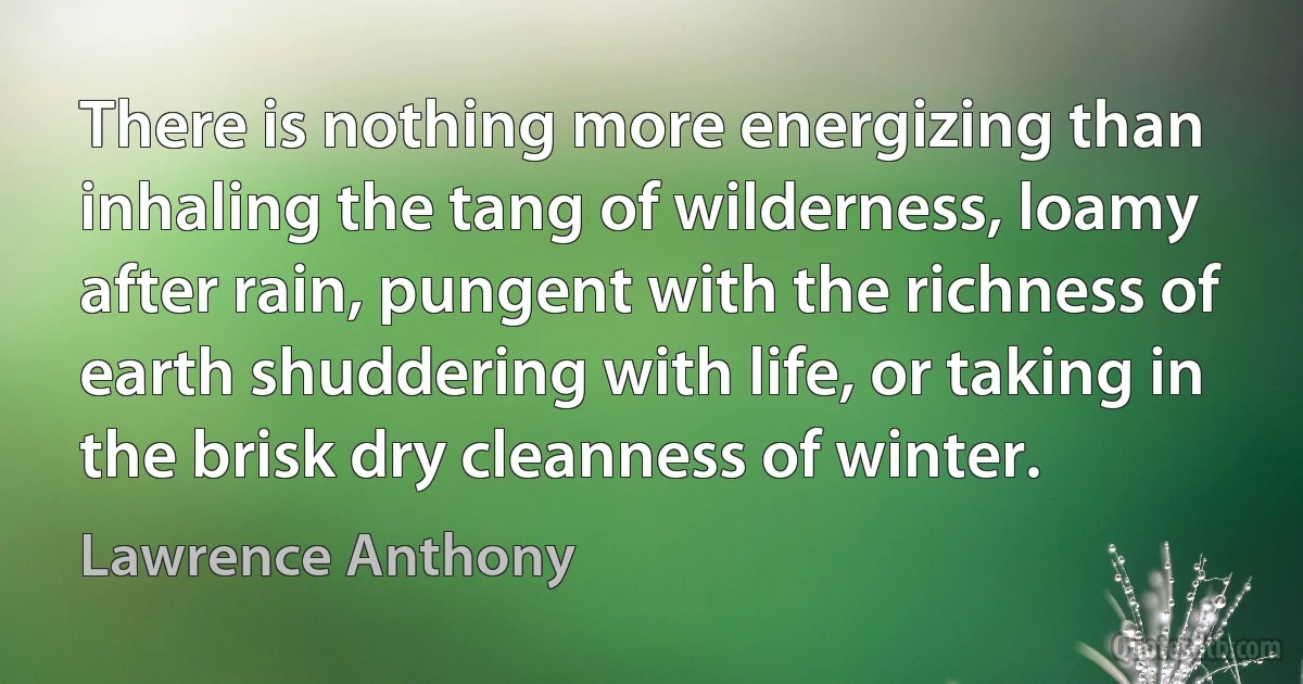 There is nothing more energizing than inhaling the tang of wilderness, loamy after rain, pungent with the richness of earth shuddering with life, or taking in the brisk dry cleanness of winter. (Lawrence Anthony)