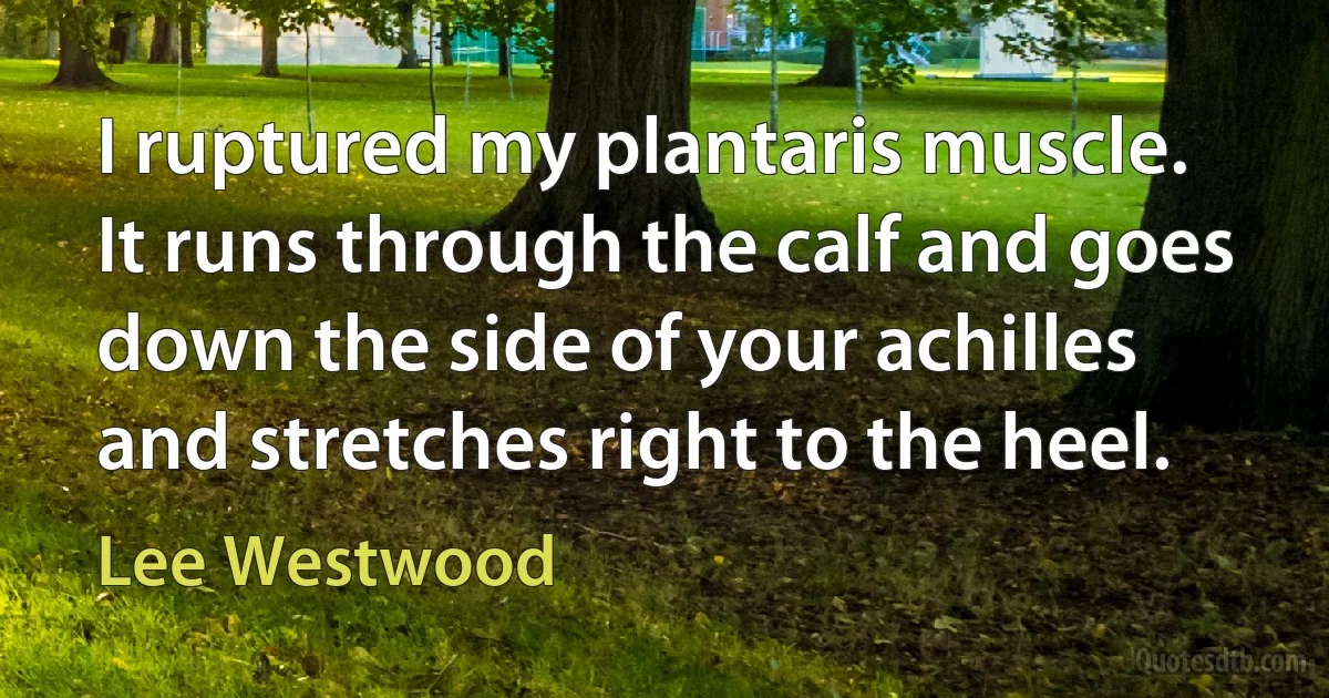 I ruptured my plantaris muscle. It runs through the calf and goes down the side of your achilles and stretches right to the heel. (Lee Westwood)