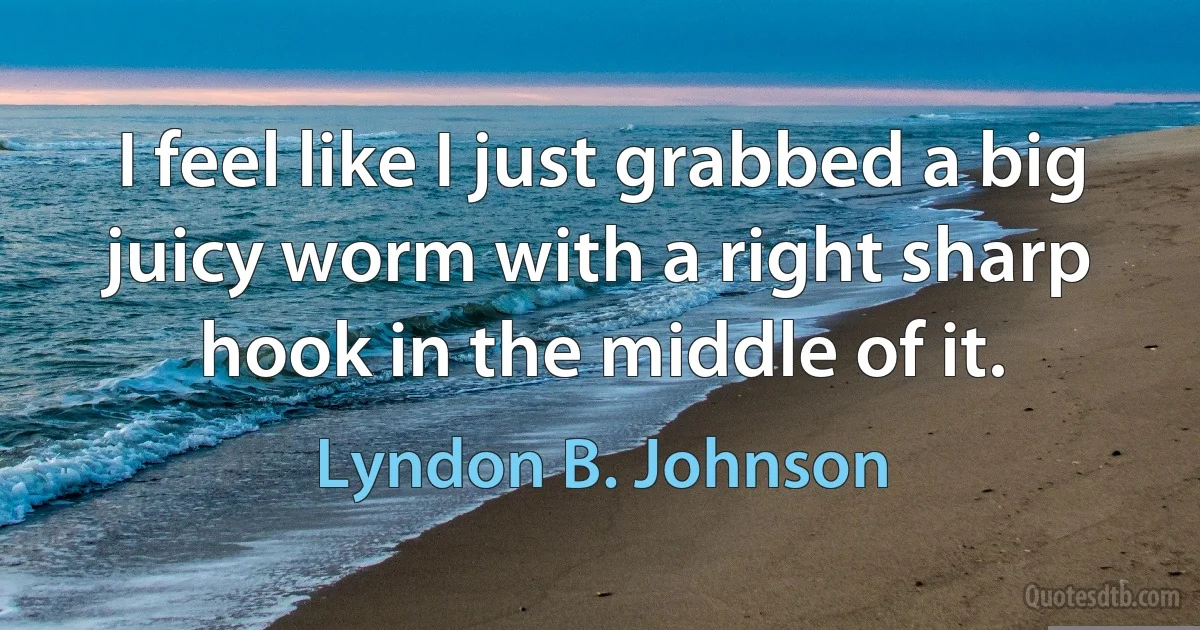 I feel like I just grabbed a big juicy worm with a right sharp hook in the middle of it. (Lyndon B. Johnson)