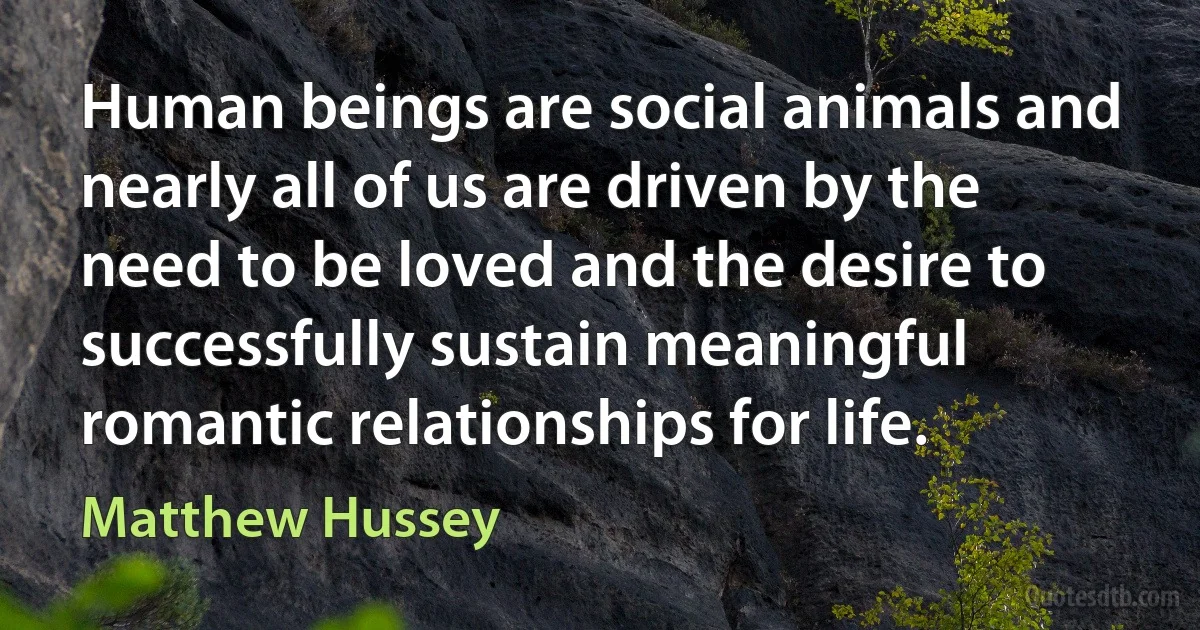 Human beings are social animals and nearly all of us are driven by the need to be loved and the desire to successfully sustain meaningful romantic relationships for life. (Matthew Hussey)