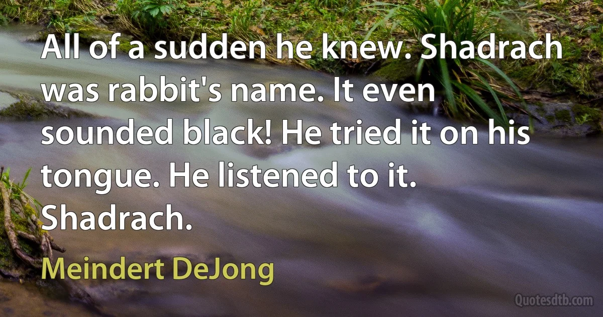 All of a sudden he knew. Shadrach was rabbit's name. It even sounded black! He tried it on his tongue. He listened to it. Shadrach. (Meindert DeJong)