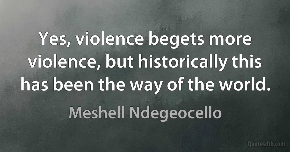 Yes, violence begets more violence, but historically this has been the way of the world. (Meshell Ndegeocello)