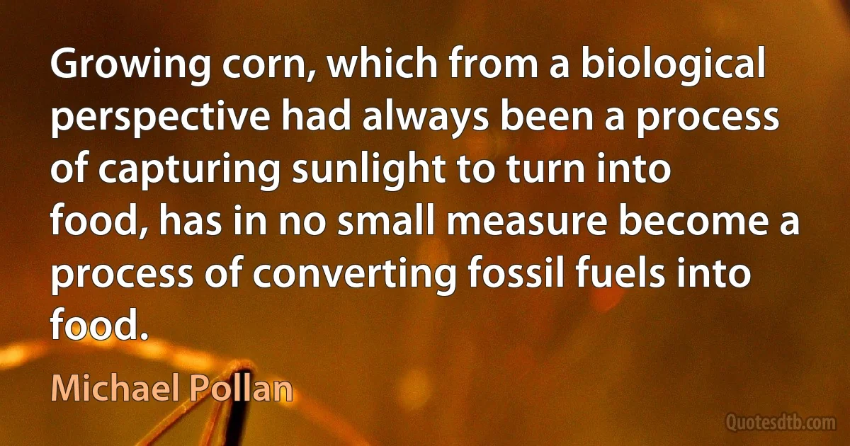 Growing corn, which from a biological perspective had always been a process of capturing sunlight to turn into food, has in no small measure become a process of converting fossil fuels into
food. (Michael Pollan)