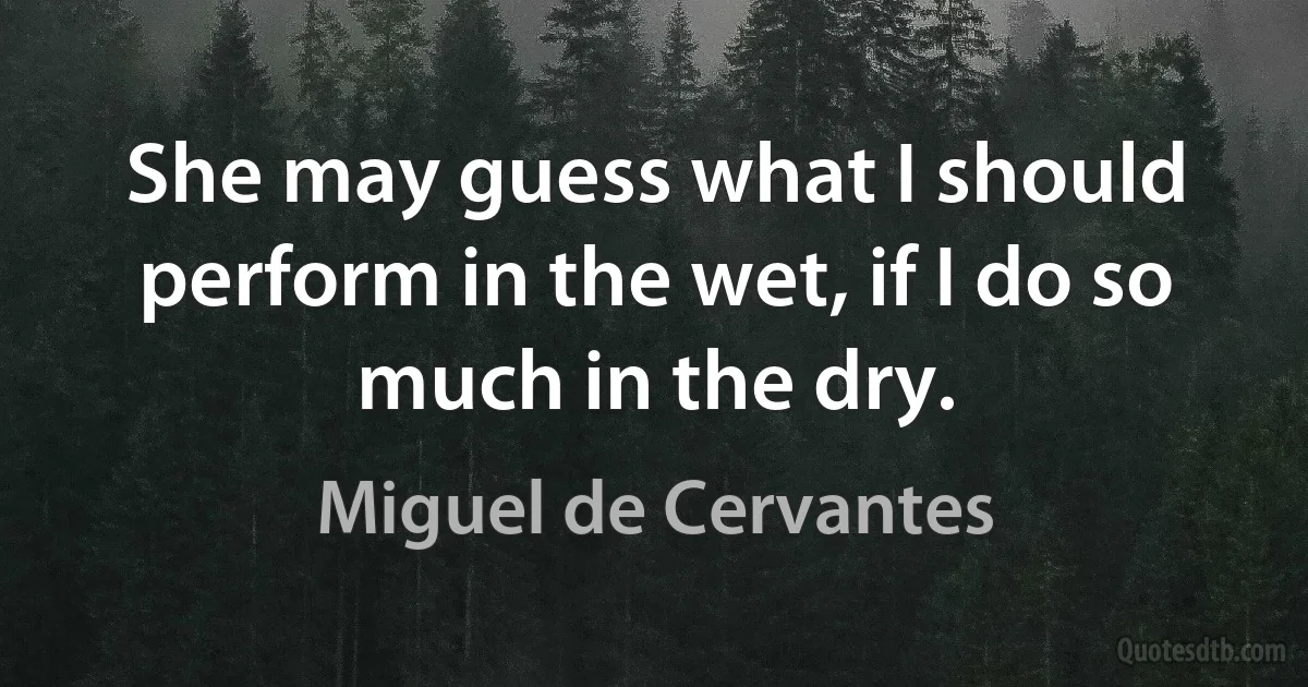 She may guess what I should perform in the wet, if I do so much in the dry. (Miguel de Cervantes)