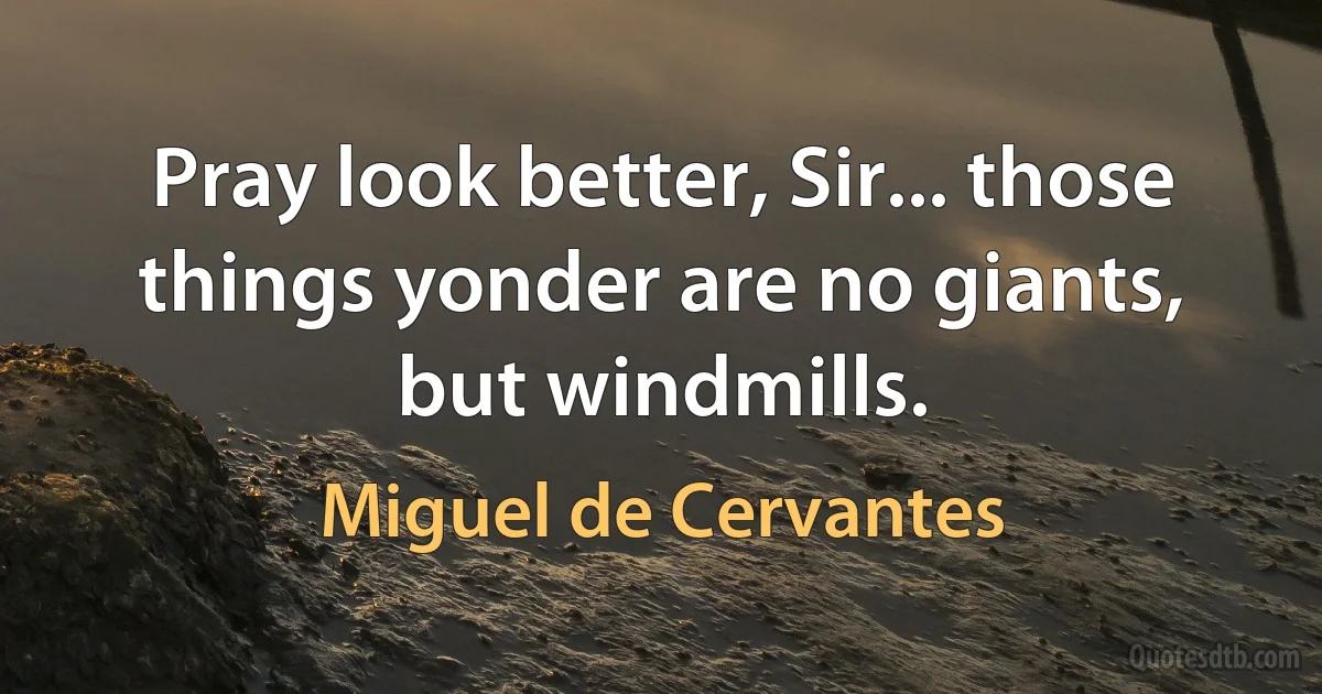 Pray look better, Sir... those things yonder are no giants, but windmills. (Miguel de Cervantes)