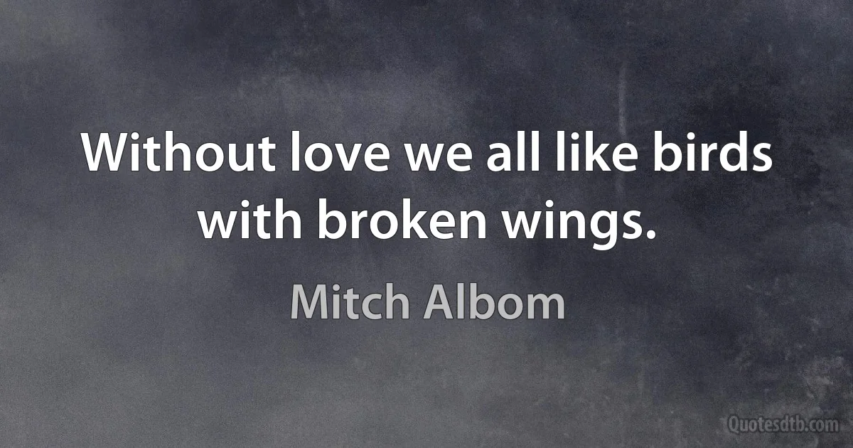 Without love we all like birds with broken wings. (Mitch Albom)