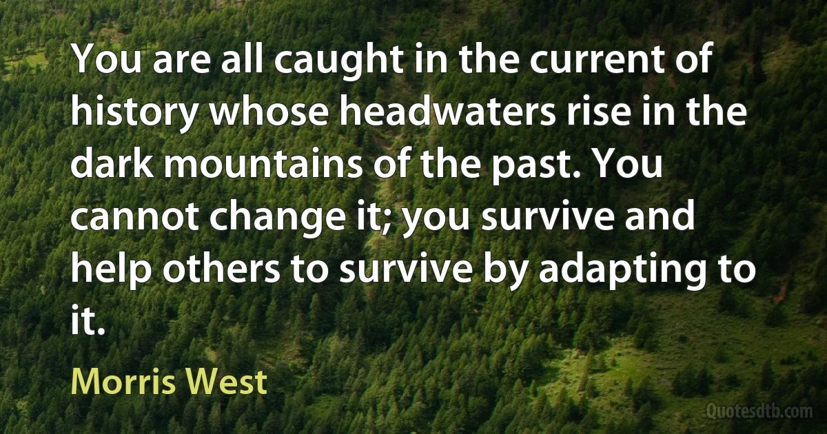 You are all caught in the current of history whose headwaters rise in the dark mountains of the past. You cannot change it; you survive and help others to survive by adapting to it. (Morris West)