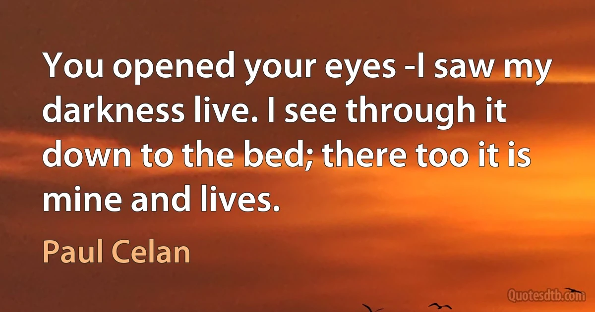 You opened your eyes -I saw my darkness live. I see through it down to the bed; there too it is mine and lives. (Paul Celan)