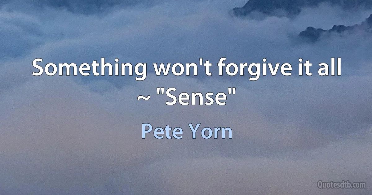 Something won't forgive it all ~ "Sense" (Pete Yorn)