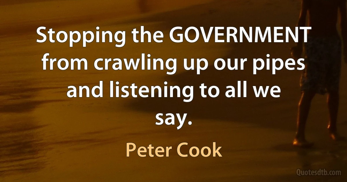 Stopping the GOVERNMENT from crawling up our pipes and listening to all we say. (Peter Cook)