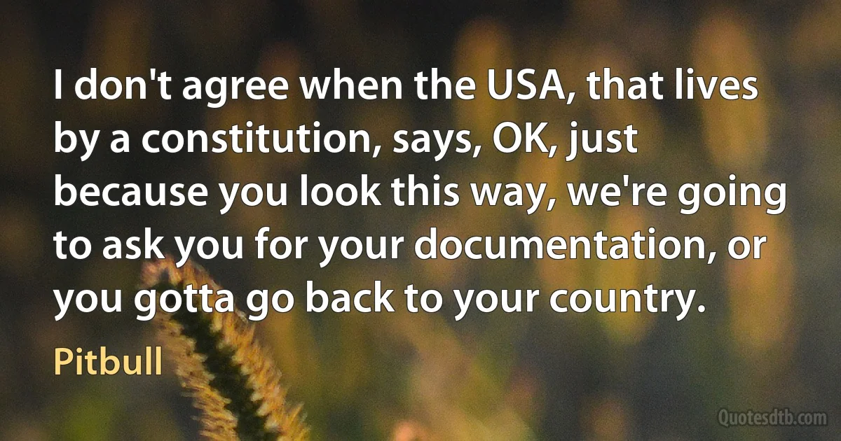 I don't agree when the USA, that lives by a constitution, says, OK, just because you look this way, we're going to ask you for your documentation, or you gotta go back to your country. (Pitbull)