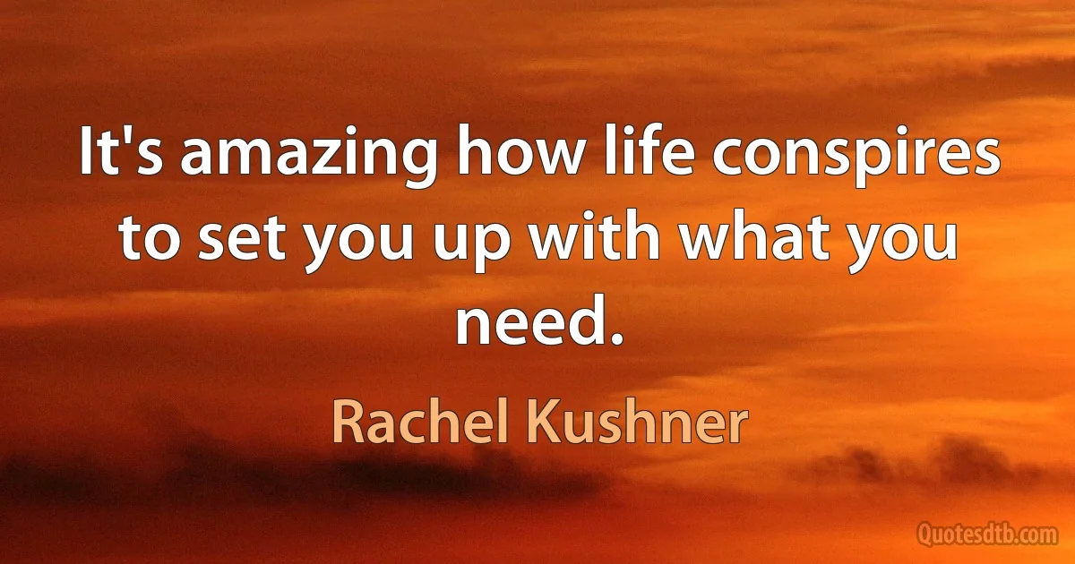 It's amazing how life conspires to set you up with what you need. (Rachel Kushner)