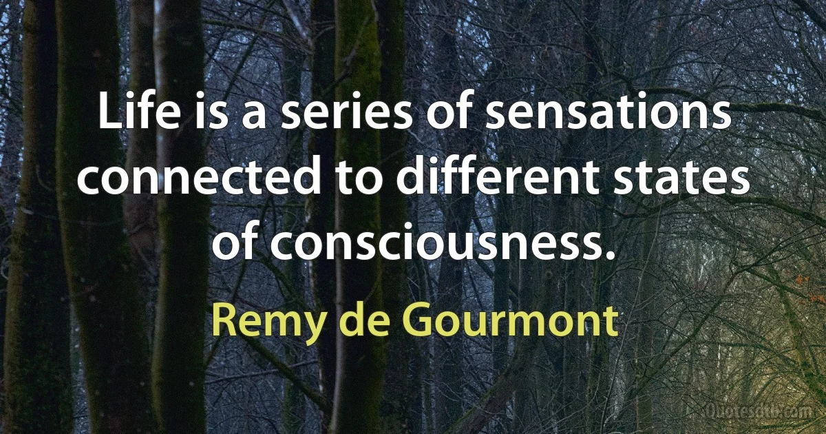 Life is a series of sensations connected to different states of consciousness. (Remy de Gourmont)