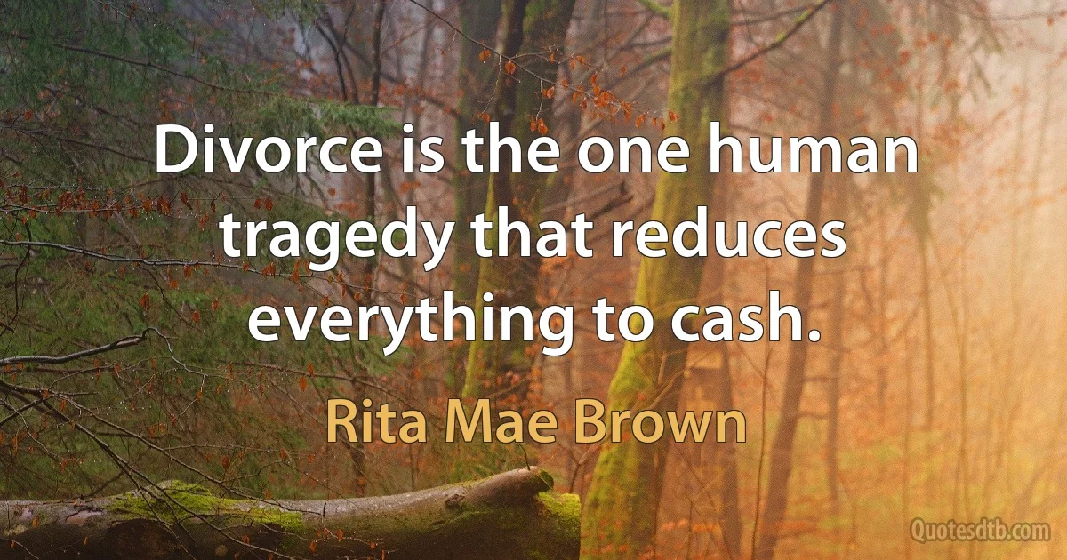 Divorce is the one human tragedy that reduces everything to cash. (Rita Mae Brown)