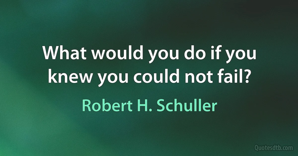 What would you do if you knew you could not fail? (Robert H. Schuller)