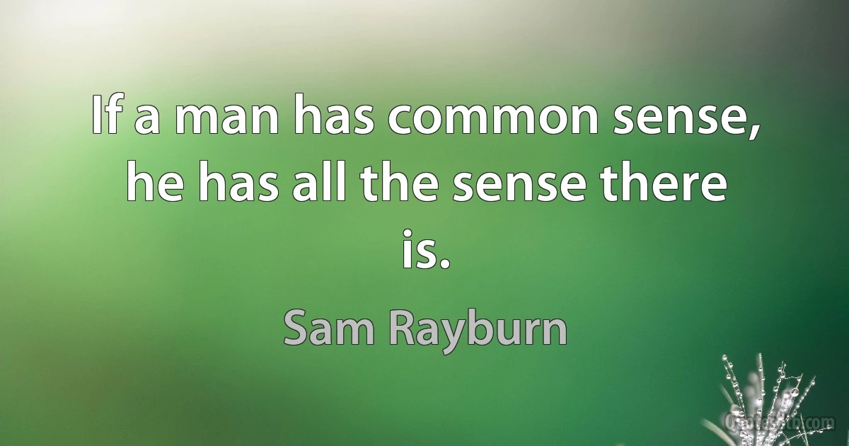 If a man has common sense, he has all the sense there is. (Sam Rayburn)