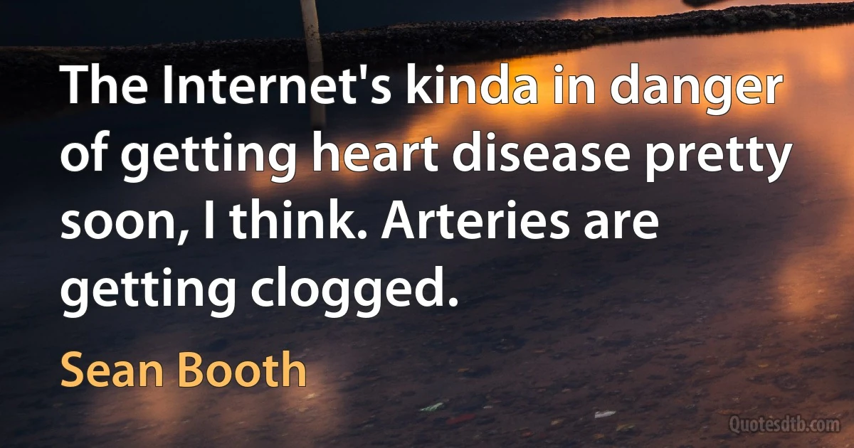 The Internet's kinda in danger of getting heart disease pretty soon, I think. Arteries are getting clogged. (Sean Booth)