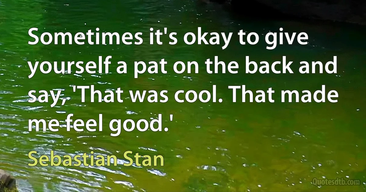 Sometimes it's okay to give yourself a pat on the back and say, 'That was cool. That made me feel good.' (Sebastian Stan)