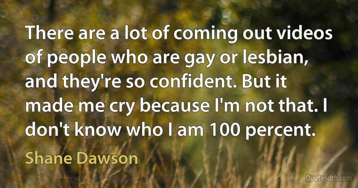 There are a lot of coming out videos of people who are gay or lesbian, and they're so confident. But it made me cry because I'm not that. I don't know who I am 100 percent. (Shane Dawson)