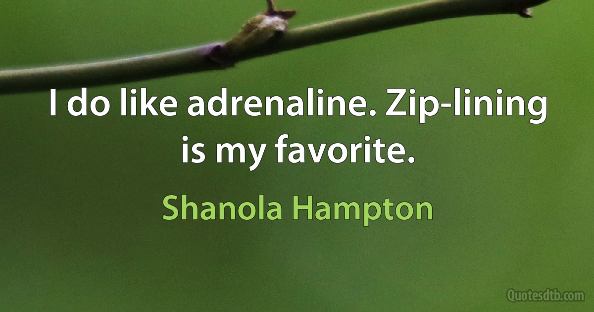 I do like adrenaline. Zip-lining is my favorite. (Shanola Hampton)